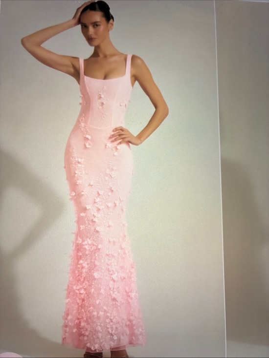 Oh Polly Dresses & Skirts - Oh Polly Vasanta Dress Blush Pink Floral-Appliqué